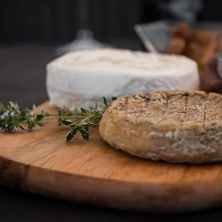 Çiftlik konaklama Agriresort Gelso - Pet Friendly & Adults Only Vesime