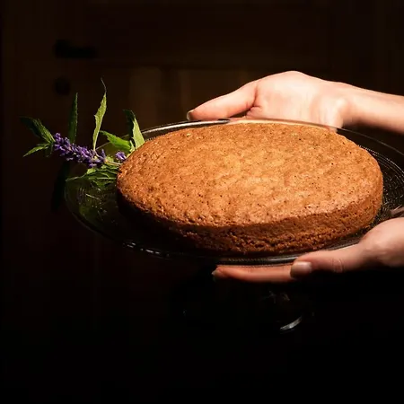 Agriresort Gelso - Pet Friendly & Adults Only Alloggio per agriturismo