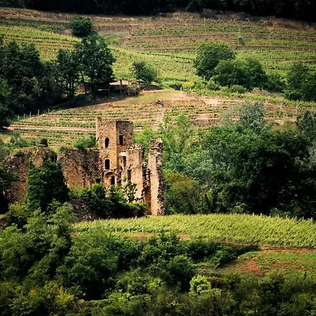 Agriresort Gelso - Pet Friendly & Adults Only * Vesime