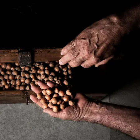 Alloggio per agriturismo Agriresort Gelso - Pet Friendly & Adults Only *