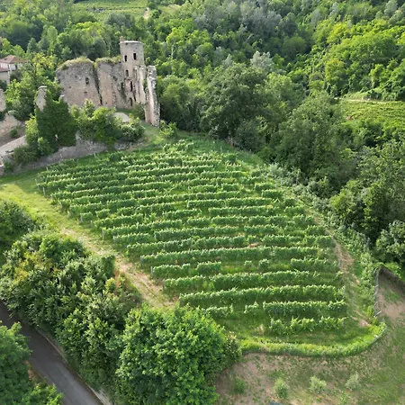 Agriresort Villa Gelso - Adults And Pet Friendly Farm stay