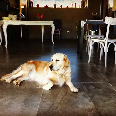 בית חווה Agriresort Gelso - Adults And Pet Friendly Vesime