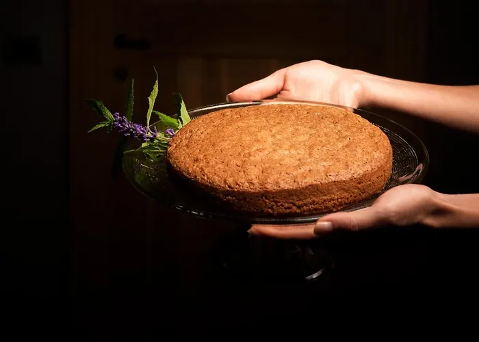 Agriresort Villa Gelso - Adults And Pet Friendly Farm stay