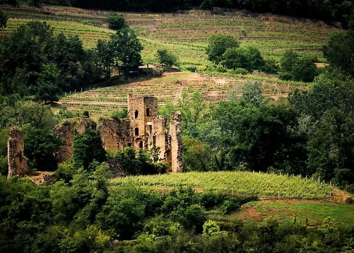 Agriresort Villa Gelso - Adults And Pet Friendly * Vesime