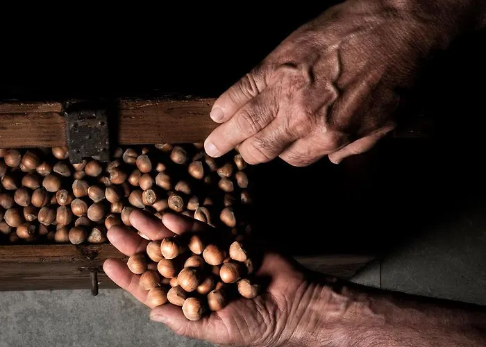 Farm stay Agriresort Villa Gelso - Adults And Pet Friendly *