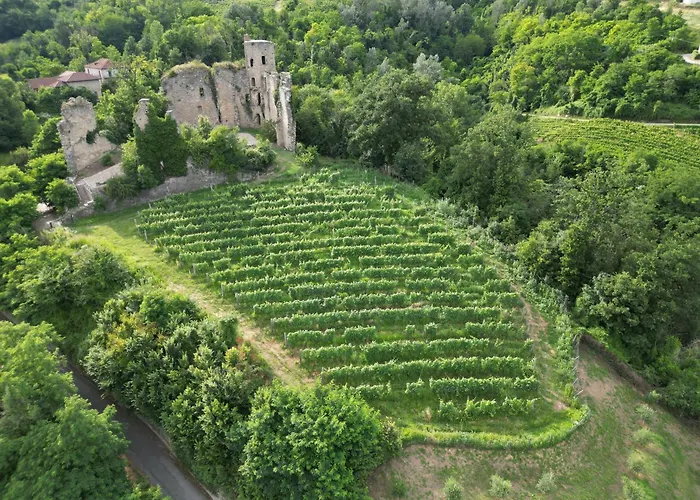 Agriresort Villa Gelso - Adults And Pet Friendly Farm stay