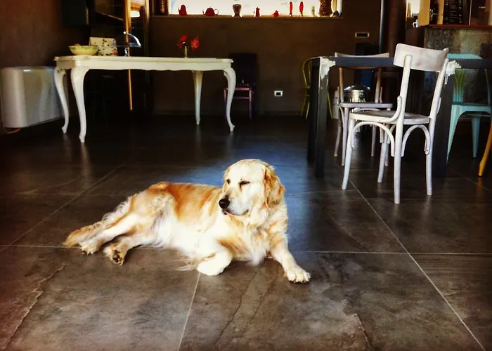 Farm stay Agriresort Villa Gelso - Adults And Pet Friendly Vesime